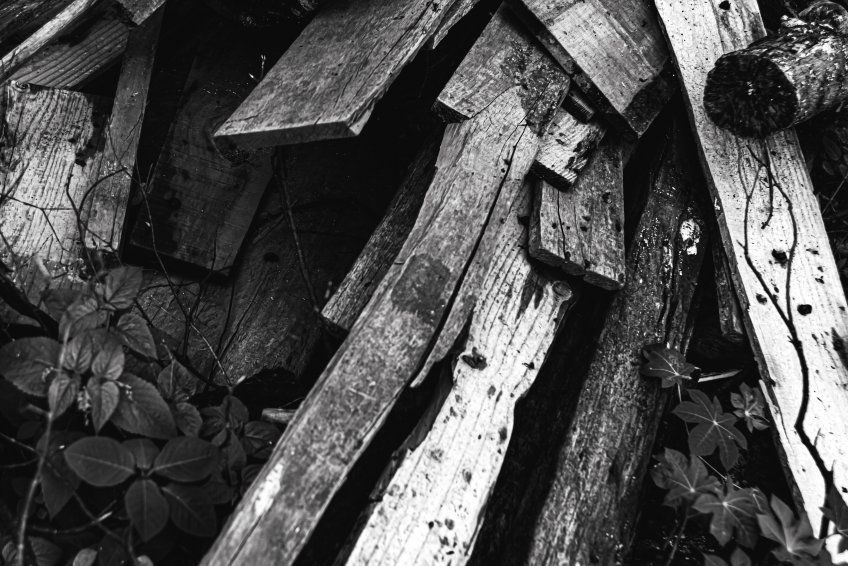 Изображение от Mateus Andre на Freepik