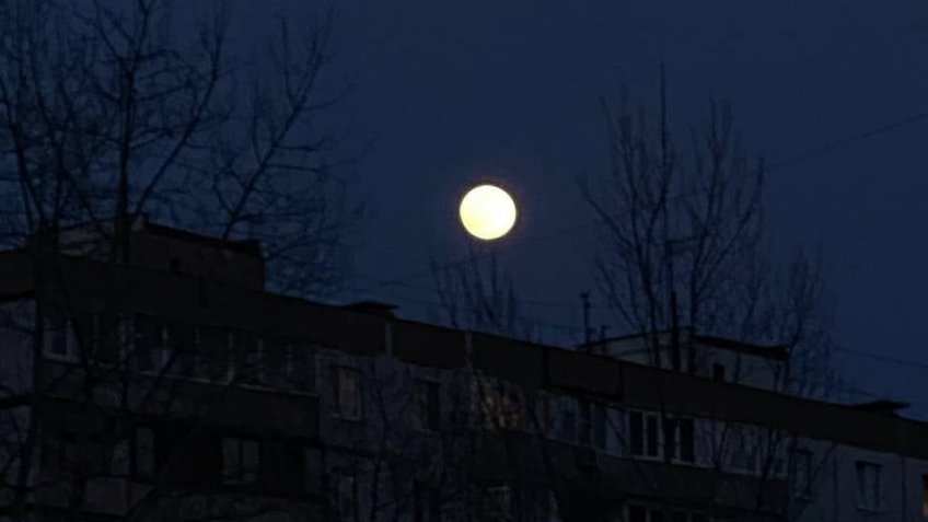 тематическое, mosaica.ru