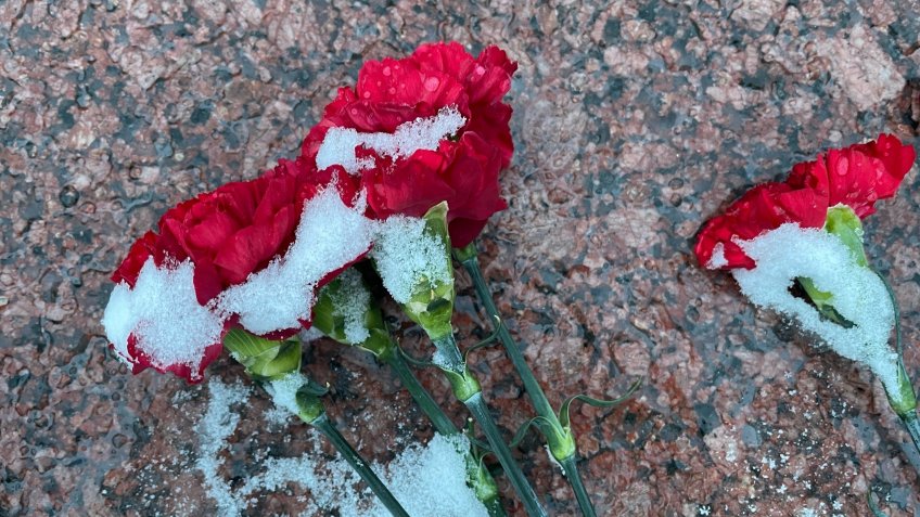 тематическое, mosaica.ru