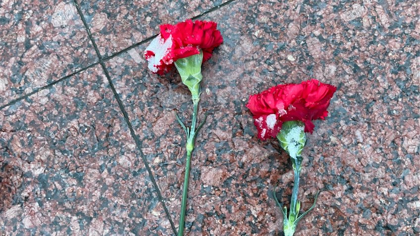 тематическое, mosaica.ru