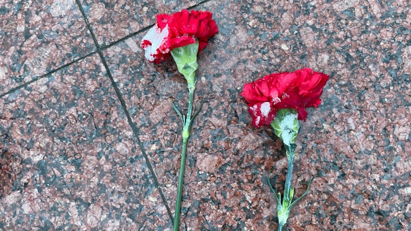 тематическое, mosaica.ru