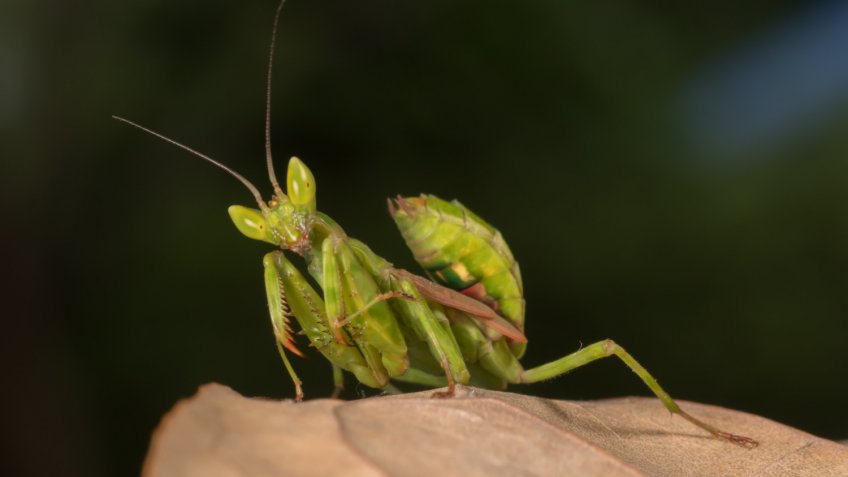 Фото: freepik.com