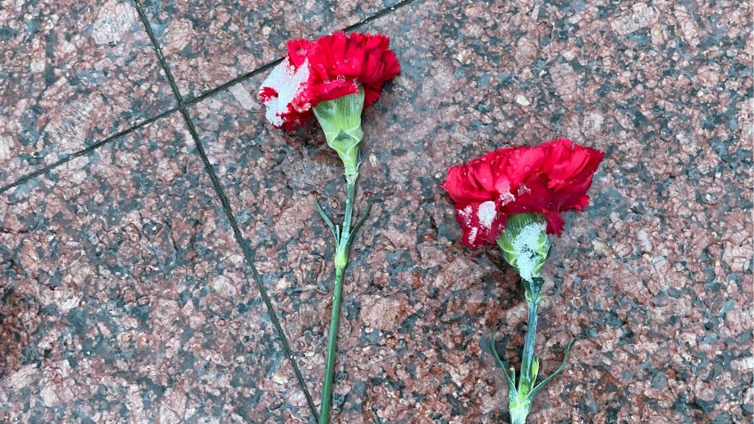 тематическое, mosaica.ru