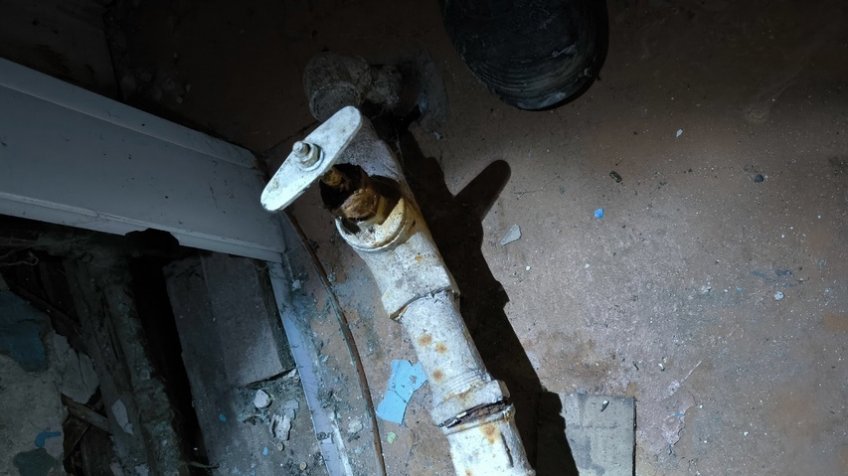 Фото: Ульяновск Life