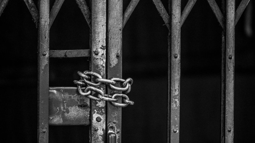 Фото: freepik.com