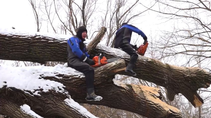 Фото: администрация города