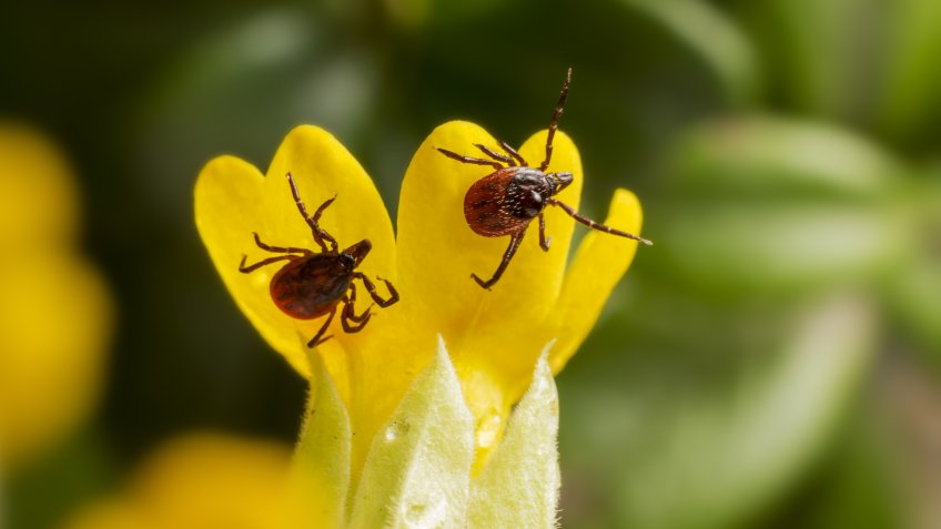 Изображение от erik-karits-2093459 на Freepik