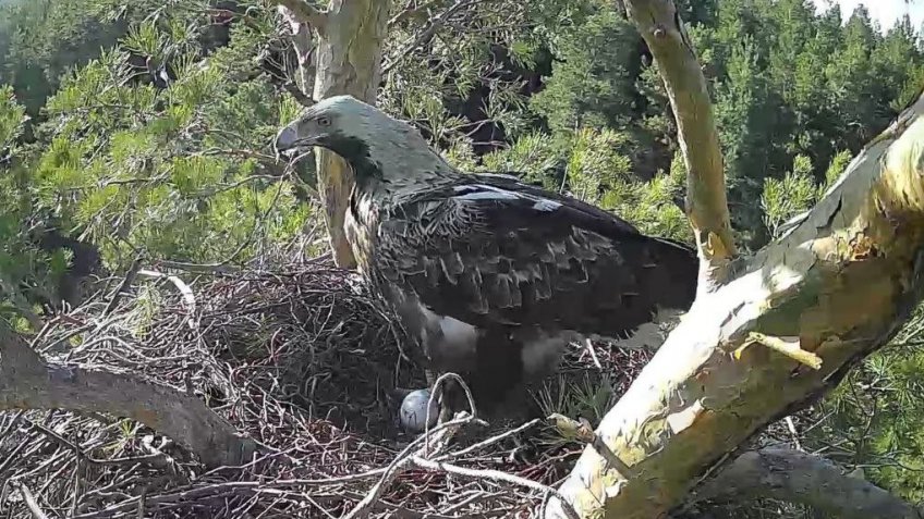 Фото: нацпарк «Сенгилеевские горы»