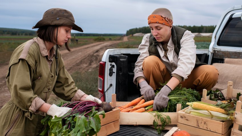 Фото: freepik.com