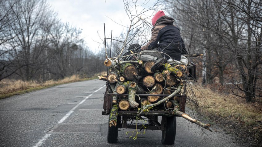 Фото: freepik.com