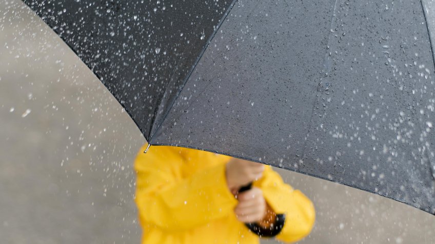 Фото: ru.freepik.com