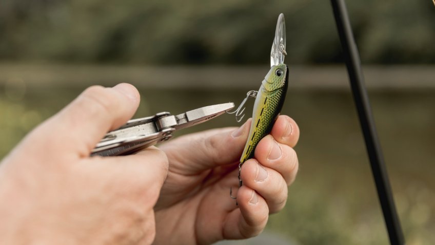 Фото: freepik.com