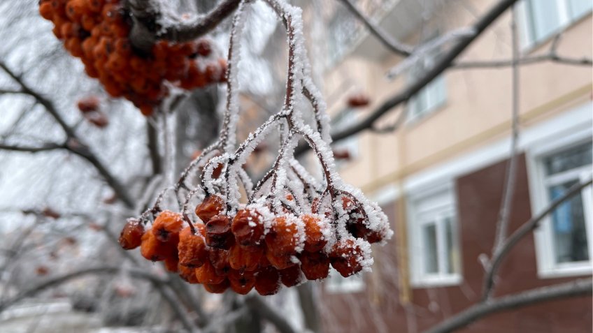 Фото: mosaica.ru