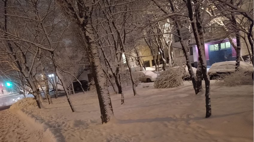 Фото: mosaica.ru