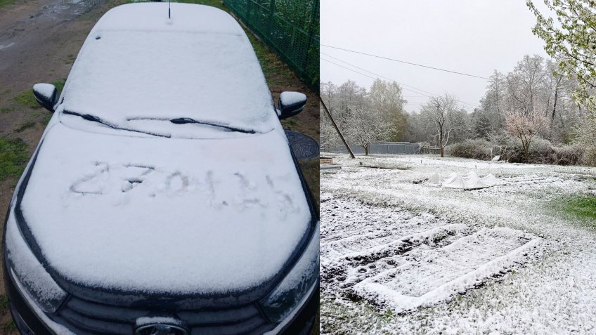 Фото: тгк Инсайд Ульяновск