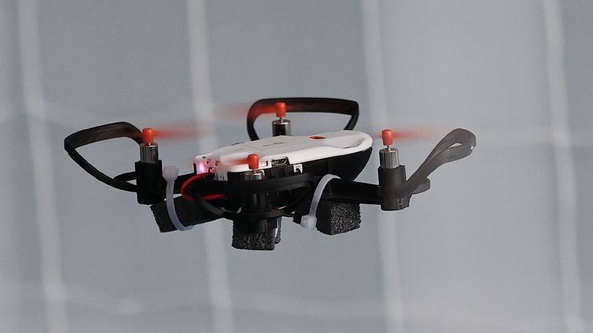 Фото: пресс-служба правительства УО