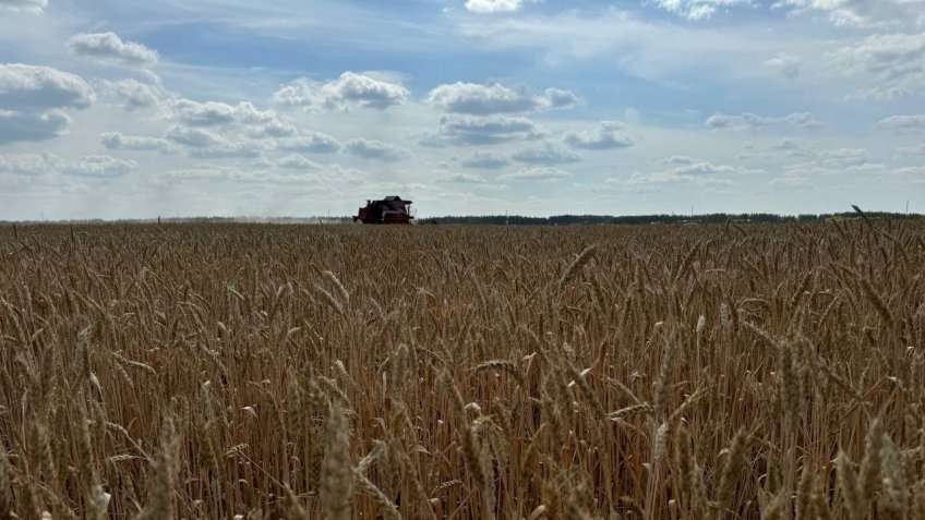 Фото: mosaica.ru