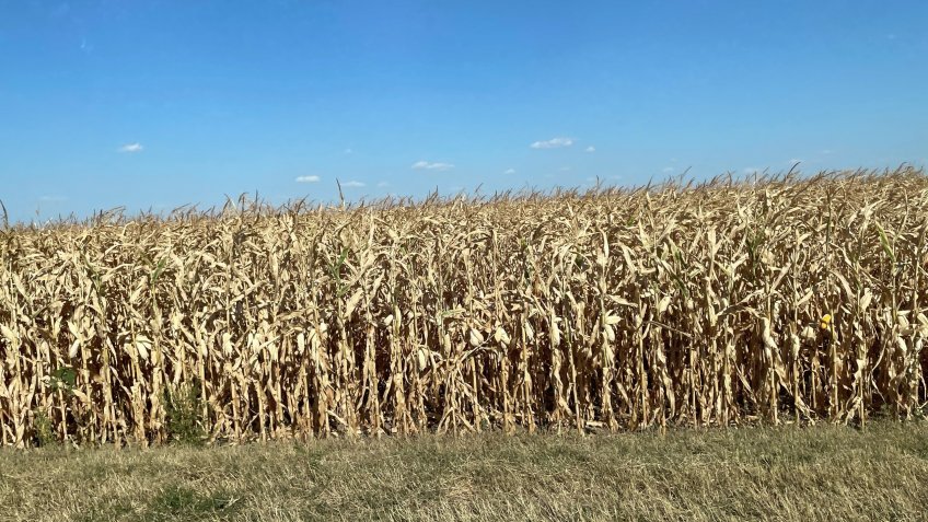 Фото: mosaica.ru