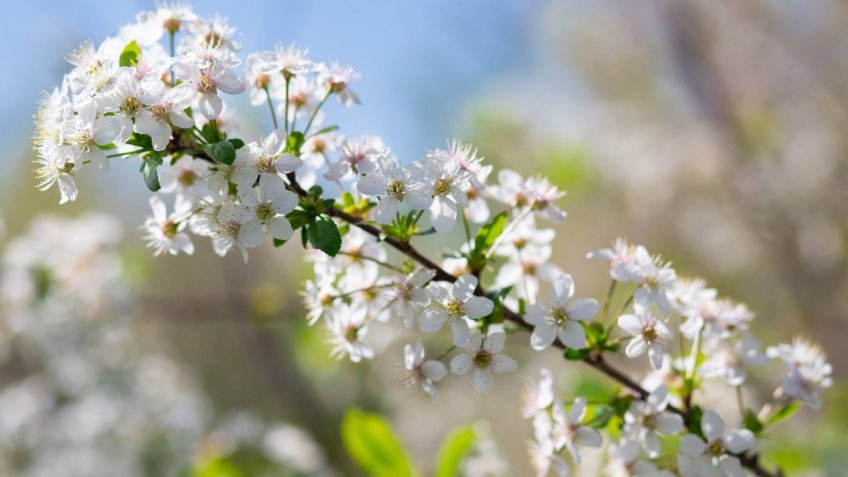 Мозаика | Новости Ульяновска