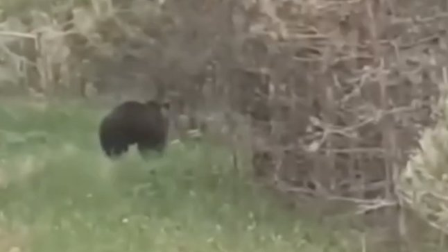 Фото: администрация Инзенского района