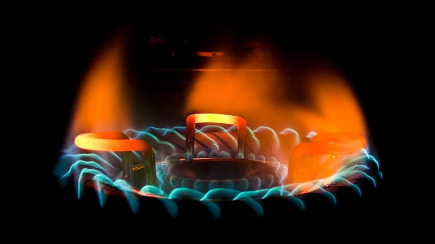 Фото: freepik.com