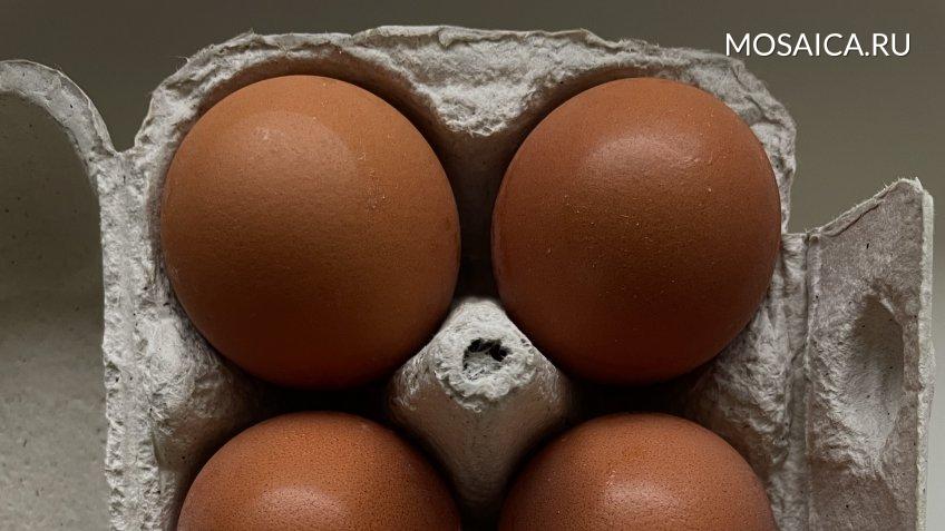 Фото: mosaica.ru