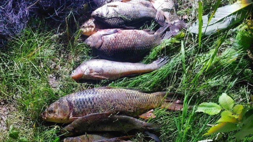 Фото: УМВД России по Ульяновской области