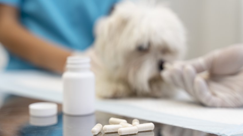 Фото: freepik.com