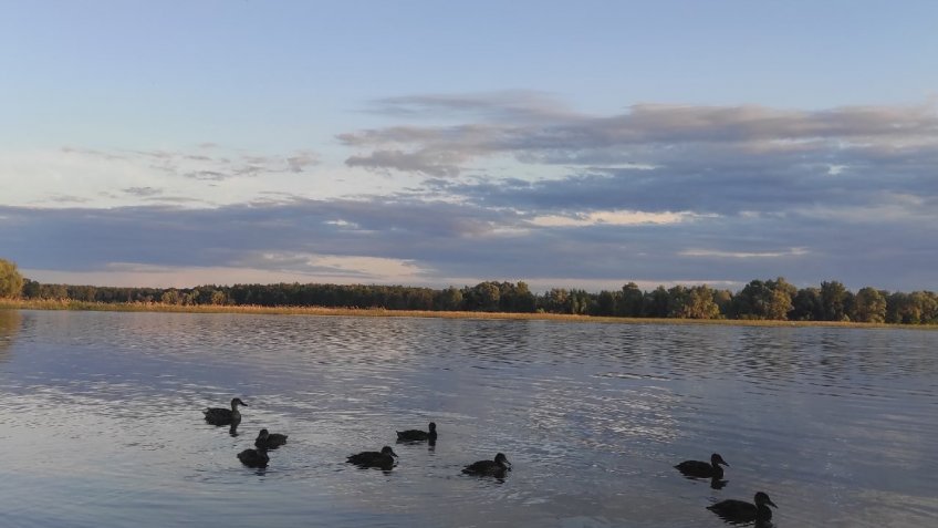 Архивы редакции