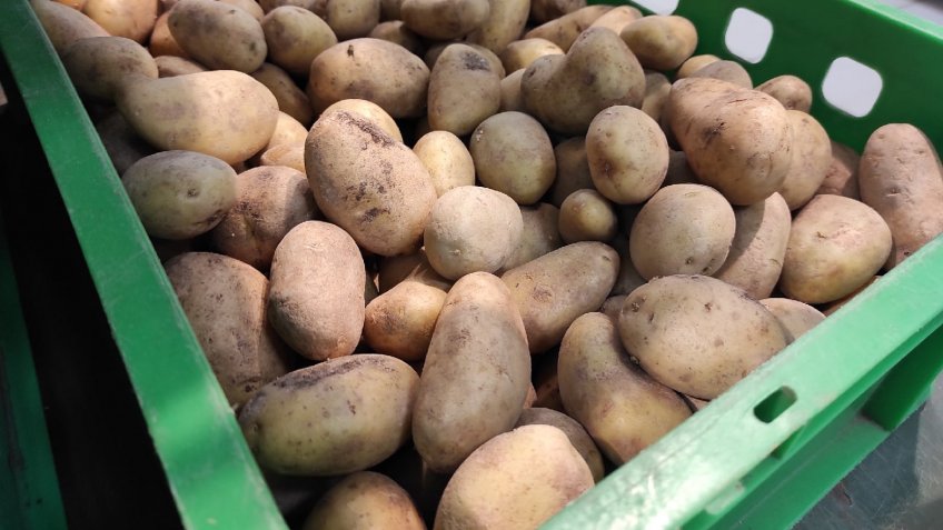 Фото: mosaica.ru