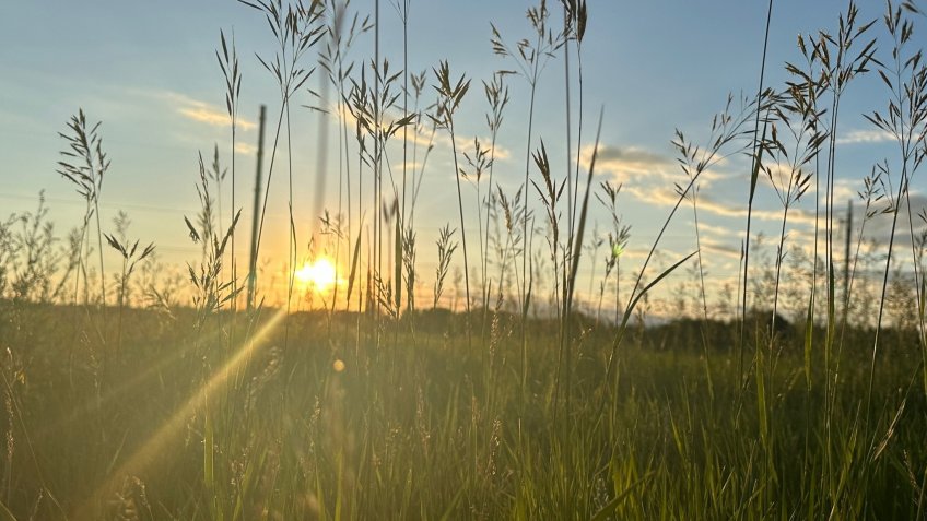 Архив редакции