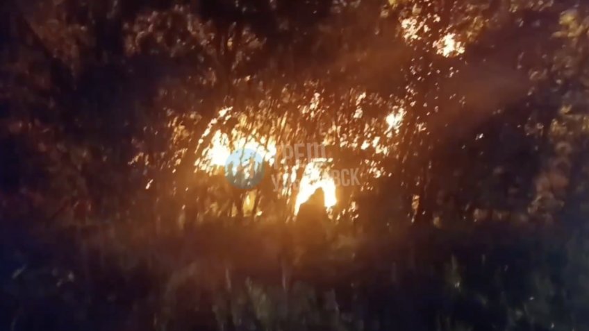 Фото: Треш Ульяновск