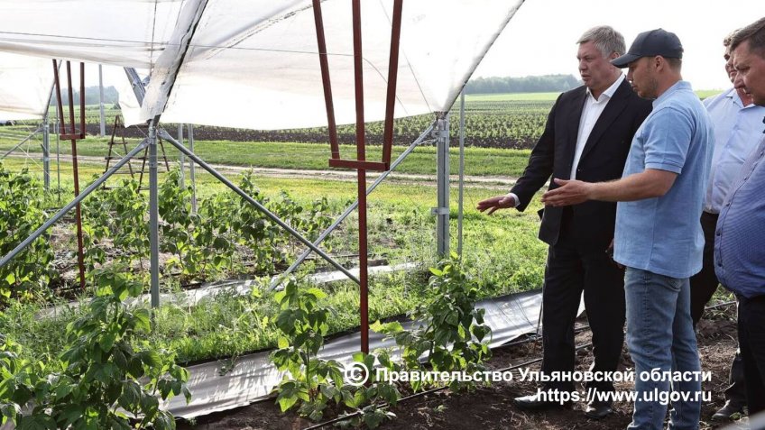 Фото: правительство Ульяновской области