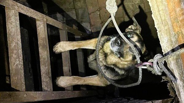 Фото: Управление гражданской защиты Ульяновска