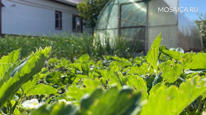 Архив редакции