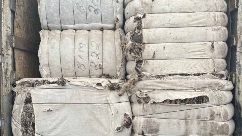 Фото: Управление Россельхознадзора по УО