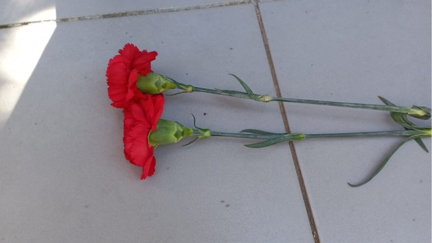 Фото: mosaica.ru