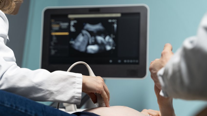 Фото: freepik.com