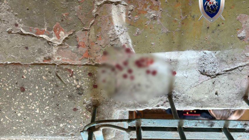 Фото: СУ СК РФ по Ульяновской области