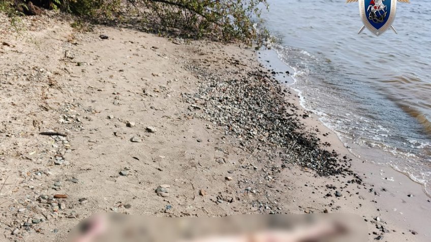 Фото: СУ СК РФ по Ульяновской области