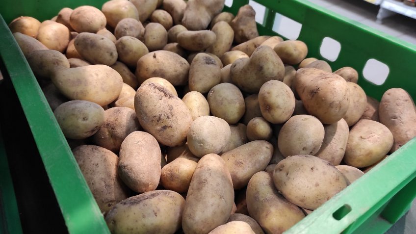 Фото: mosaica.ru