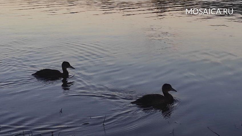 Архив редакции