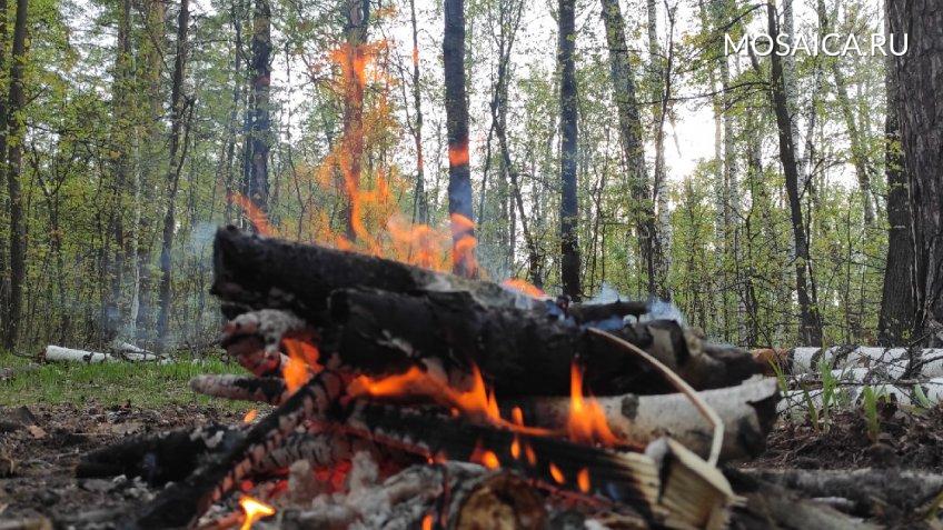 Архив редакции