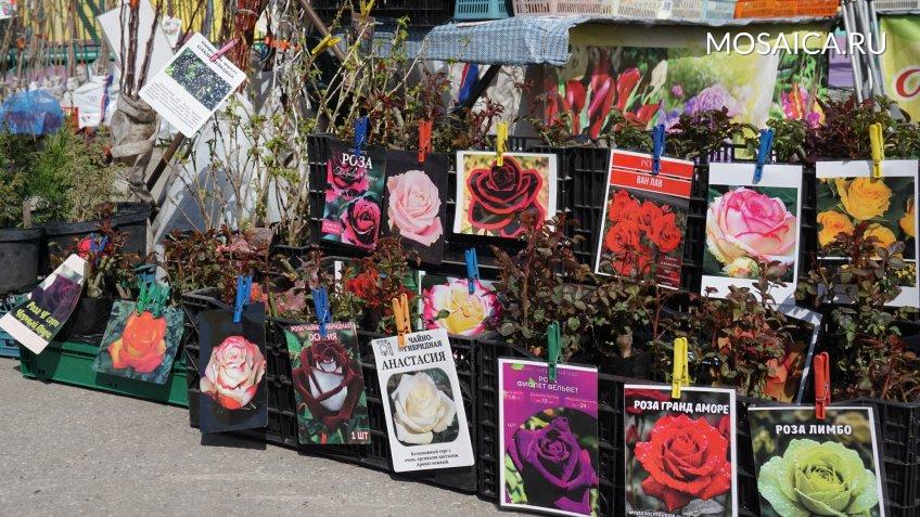 Архив редакции