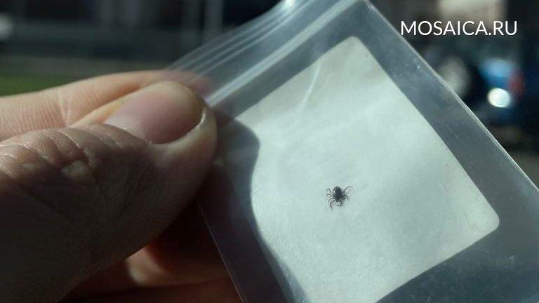 Архив редакции