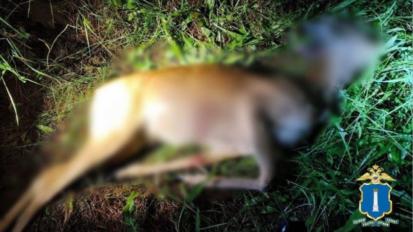 Фото: УМВД России по Ульяновской области