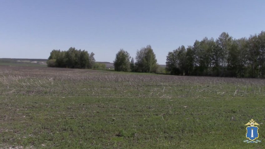 Фото: УМВД России по Ульяновской области