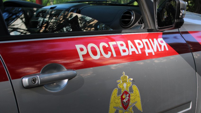 пресс-служба Управления Росгвардии по Ульяновской области