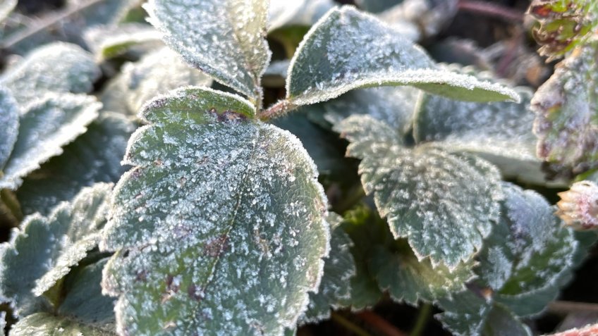 Архив редакции