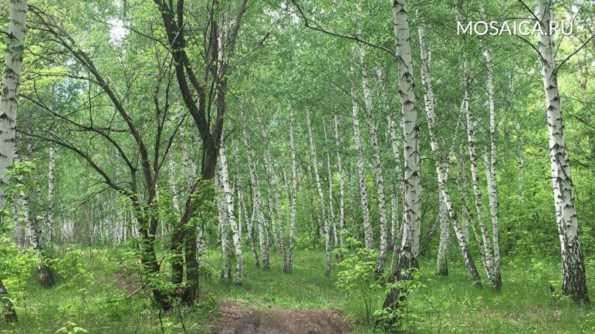 Архив редакции